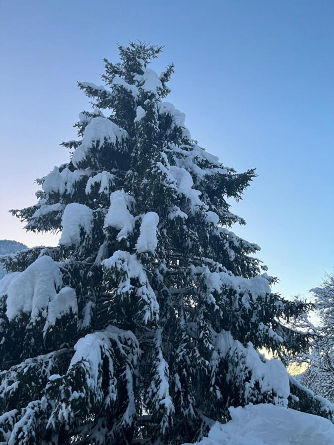בופור Chalet La Poipia מראה חיצוני תמונה